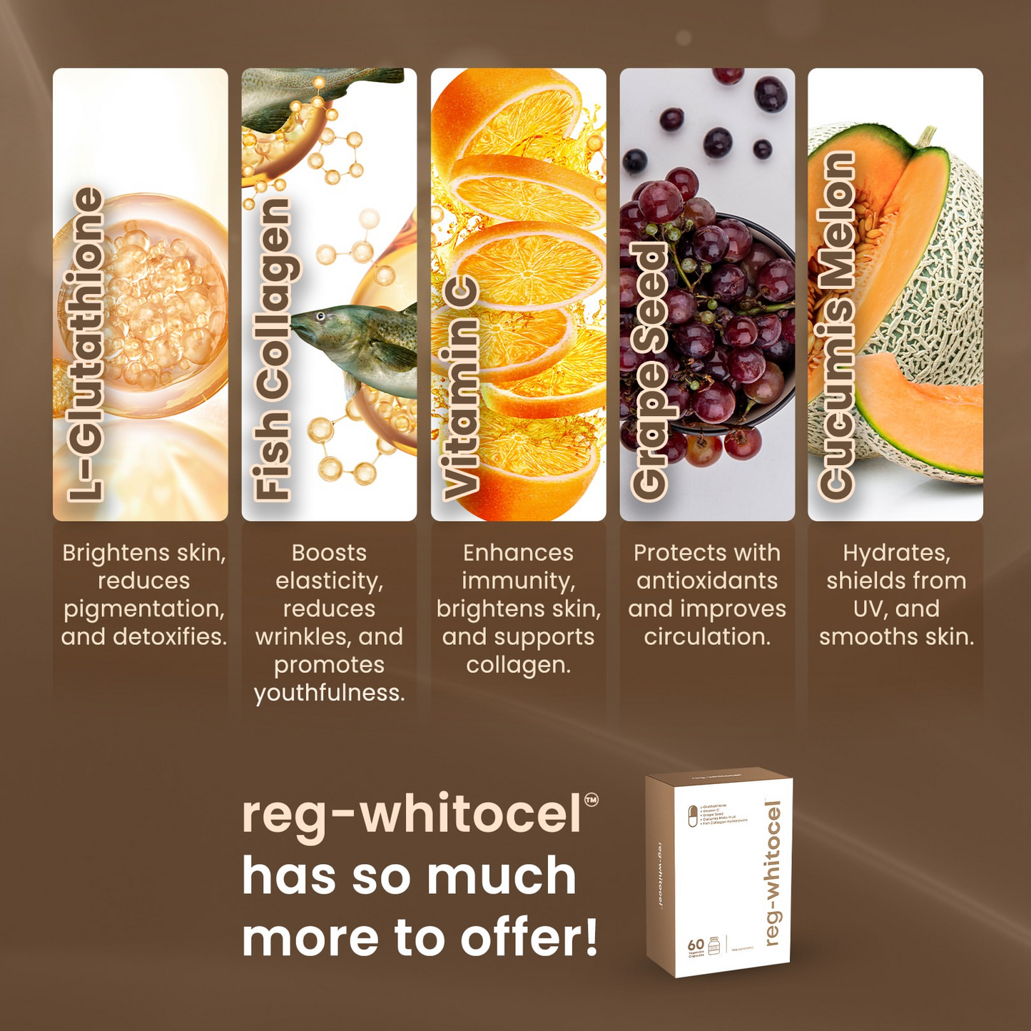 REG-WHITOCEL 60s | L-Glutathione + Collagen + Grape Seed + Vitamin C Antioxidant Supplement